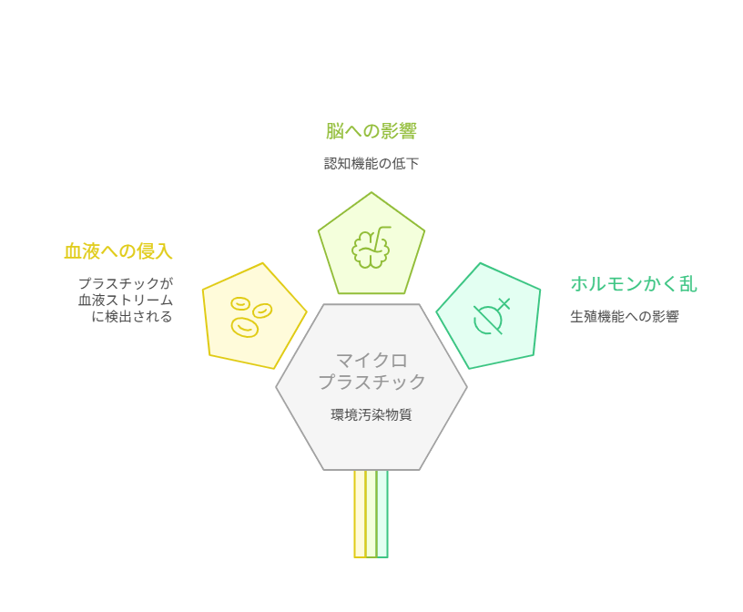 海洋プラスチック問題, 人体への影響