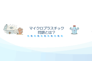 マイクロプラスチック問題とは